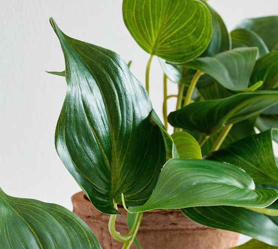 Faux Potted Trailing Houseplant