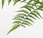 Faux Potted Trunked Curly Fern