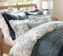 Sorrel Toile Duvet Cover