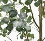 Faux Silver Dollar Eucalyptus Tree