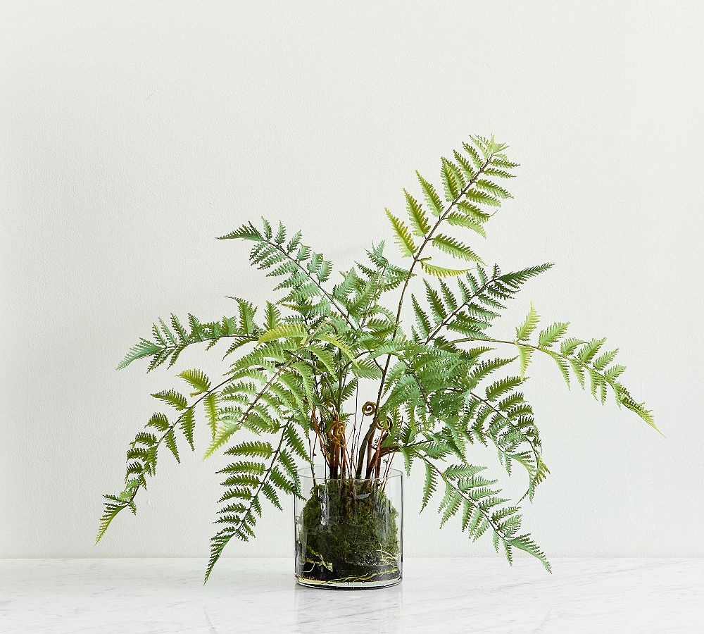 Open Box: Small Glass Composed Fern 24"H