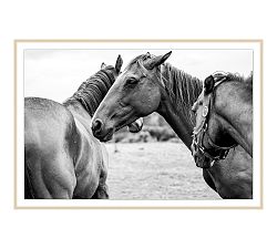 A Watchful Eye Framed Print