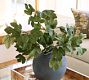 Faux Fig Leaf Branch