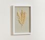 Dried Botanicals Shadowbox