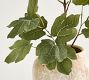 Faux Fig Leaf Branch