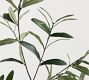 Faux Terracotta Potted Olive Tree