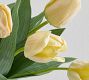 Faux Tulip Bundle