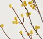 Faux Turning Berry Branch