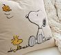 Peanuts&#8482; Fall Is Here Charlie Brown&#8482; Pillow