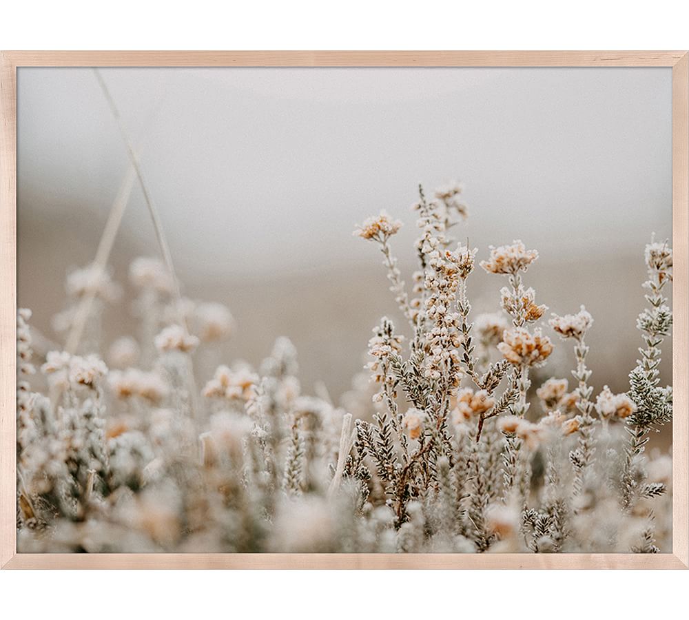 Field Flowers By Annie Spratt