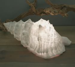 Decorative Lit Frosted Glass Sea Shell