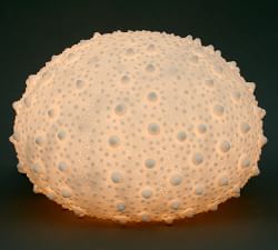 Decorative Lit Frosted Glass Sea Urchin