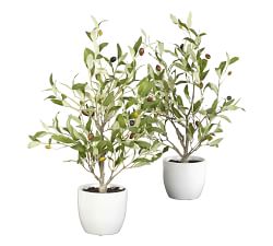 Faux Olive Tree in Vase - Set of 2