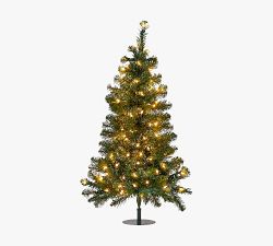 Lit Faux Winchester Fir Walkway Trees - Set of 2