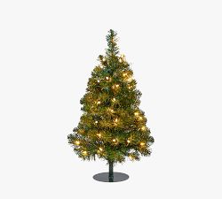 Lit Faux Winchester Fir Walkway Trees - Set of 2