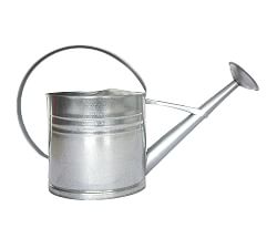 Zinc Watering Can
