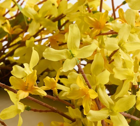 Faux Mini Forsythia Wreath