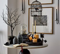 Lit Crow Bird Cage