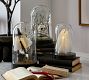 Lit Skull Cloche