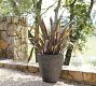 Aspen Planter