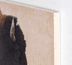 American Bison Wood Wall Art