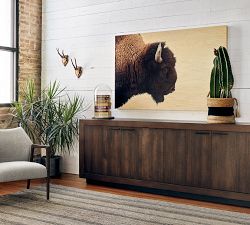American Bison Wood Wall Art