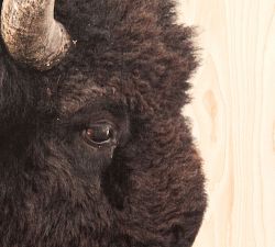 American Bison Wood Wall Art