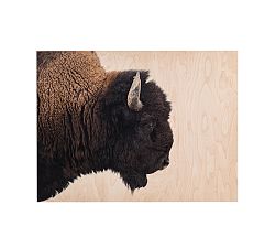American Bison Wood Wall Art