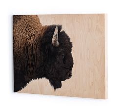 American Bison Wood Wall Art