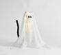 Lit Ghost Cat