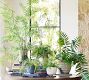 Faux Oversized Potted Fern