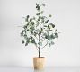 Faux Silver Dollar Eucalyptus Mini Tree