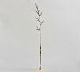 Oversized Lit Black Branch