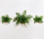 Faux Fern Wall Art