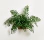 Faux Fern Wall Art
