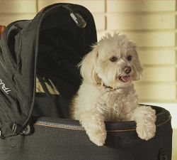 Tavo Maeve&#8482; Pet Car Seat, Medium Flex