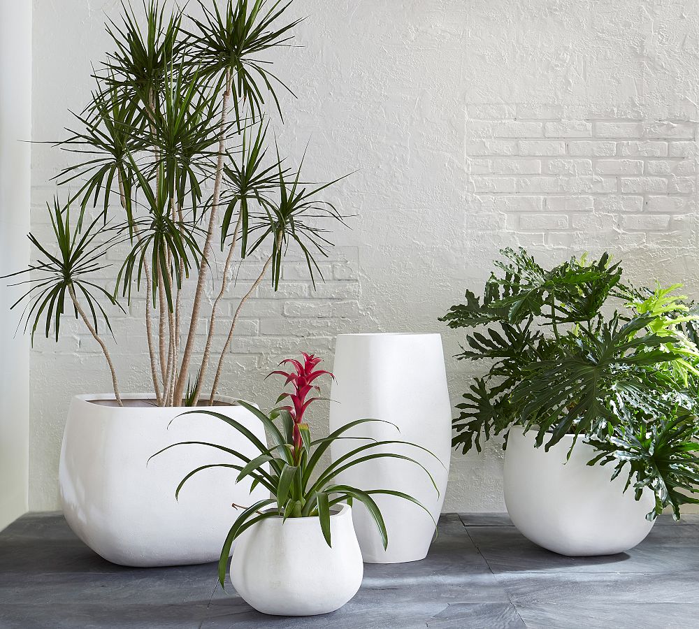 Gia Square Planters