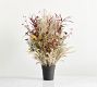 Potted Fantastical Forest Mixed Grass