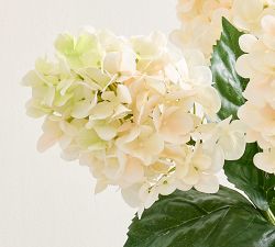 Faux Cream Cone Hydrangea Bundle