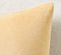 Icon Velvet Pillow