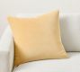 Icon Velvet Pillow