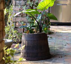 Found Wine Barrel Planter