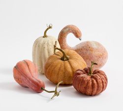 Faux Pumpkins &amp; Gourds - Set of 5