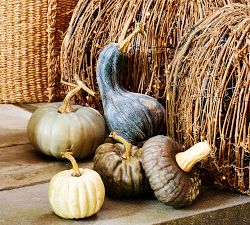 Faux Pumpkins &amp; Gourds - Set of 5