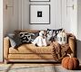 Cleo The Cat Ghost Shaped Pillow