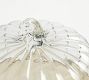 Glass Pumpkin Cloche with Wood Pedestal
