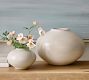 Nolina Ceramic Vase Collection