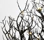 Lit Skeleton Forest Centrepiece