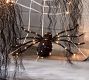 Lit Oversized Spider