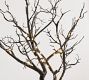 Lit Faux Black Potted Tree